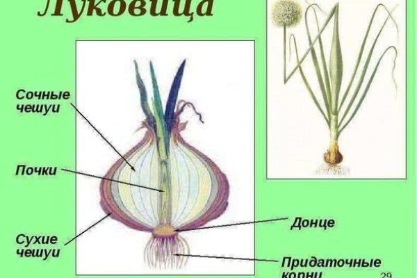 Kra29.cc